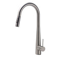 Pull Out Kitchen Mixer Tap with Two Spray Modes, Gun Metal