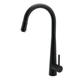 Round Pull Out Kitchen Mixer Tap, Matte Black