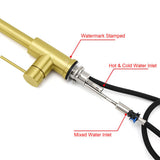 Pull Out Kitchen Mixer Tap with Dual Spray, Brushed Gold