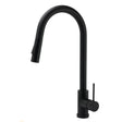 Matt Black Round Pull Out Kitchen Mixer Tap image 1