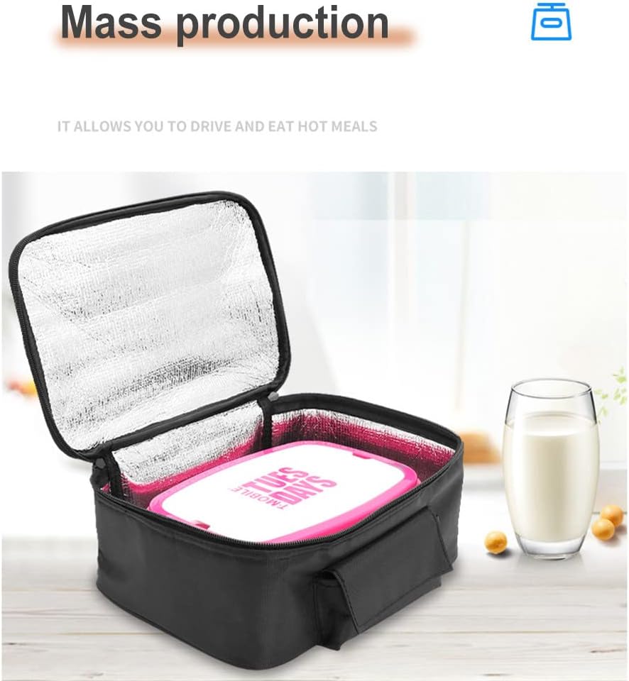 Millingandi 12V Car Insulated Cooler Bag, 29 x 21 x 11cm