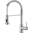Stainless steel kitchen mixer tap with pull down sprayer