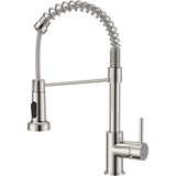 Stainless steel kitchen mixer tap with pull down sprayer
