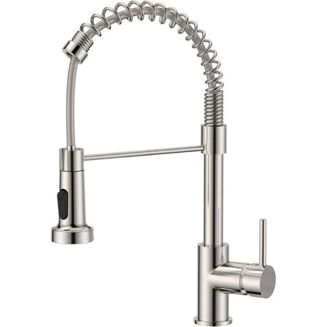 Stainless steel kitchen mixer tap with pull down sprayer