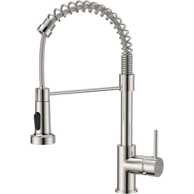 Stainless steel kitchen mixer tap with pull down sprayer