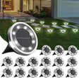 Cold white solar ground lights on an outdoor garden pathway