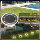 Cold white solar ground lights on an outdoor garden pathway