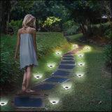 Cold white solar ground lights on an outdoor garden pathway