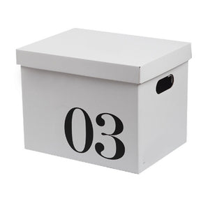 Corrugated cardboard storage box with lid