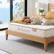 Kids natural latex pocket spring mattress, firm, 15cm king single