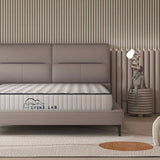 Spine-Lab 5-Zone 21cm Medium Firm Bonnell Spring Mattress — King Single — Allure Home Collections