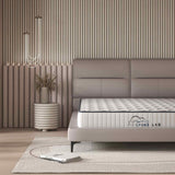 Spine-Lab 5-Zone 21cm Medium Firm Bonnell Spring Mattress — King Single — Allure Home Collections