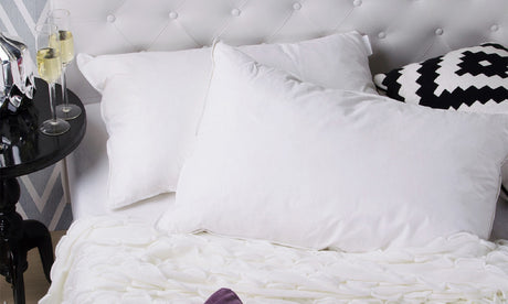 Royal Comfort Duck Feather & Down Quilt Combo