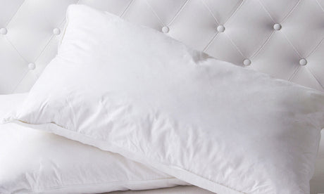Royal Comfort Duck Feather & Down Quilt Combo