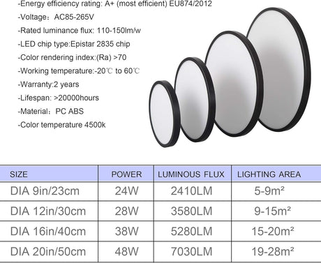 LED Ceiling Light Fixture 24W Natural Light 4500K — Black — Allure Home Collections