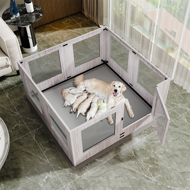 Boyup large whelping box in tempered glass and MDF for a mother dog and litter