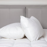 Hacienda 100% Cotton Hypoallergenic Pillow Covers with 800g Poly Fill — 2-Pack — Allure Home Collections