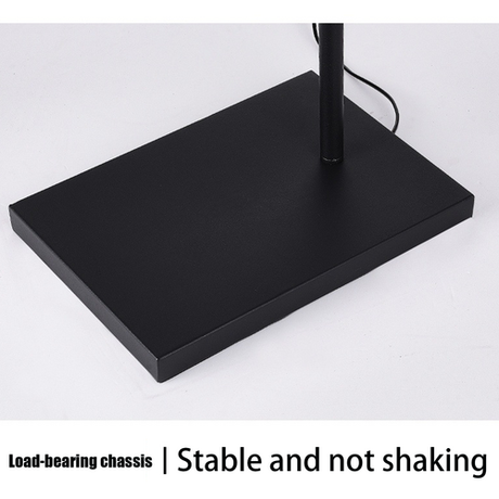 Half Moon LED Floor Fill Light Black with Phone Holder and Remote