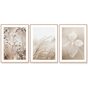 Compact three panel dried botanical triptych in oat and cream tones on canvas in wood floating frames