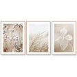 Three panel dried botanical triptych in oat and cream tones on canvas in wood floating frames