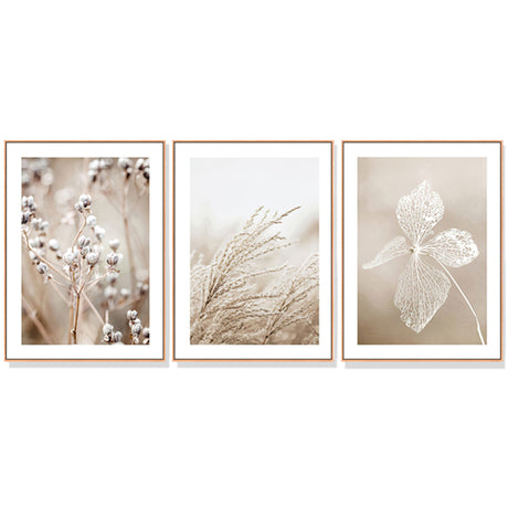 Dried flower canvas wall art set of three in wood floating frames, 60 x 90 cm portrait panels