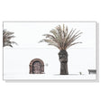 Elegant European palm canvas print in a white floating frame