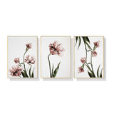 Tulip Flower — Gold-Framed 3-Panel Floral Canvas Set — Allure Home Collections