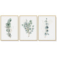 Eucalyptus Plant — Gold-Framed 3-Panel Canvas Set — Allure Home Collections