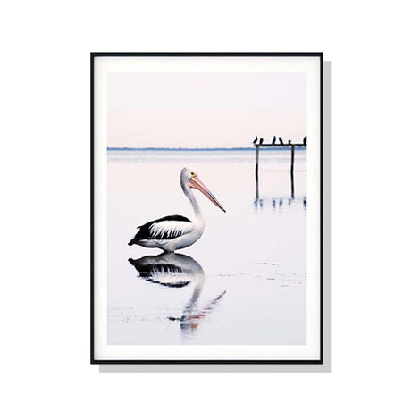 Pelican canvas wall art 70 x 100 cm in a black floating frame