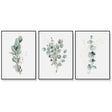 Eucalyptus Plant — Framed 3-Panel Canvas Set for Living Room and Bedroom — Allure Home Collections