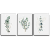 Eucalyptus Plant — Framed 3-Panel Canvas Set for Living Room and Bedroom — Allure Home Collections