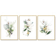 Green and Gold Watercolour Botanical — Gold-Framed Canvas Set — Allure Home Collections