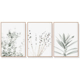 Lavender and Eucalyptus — Wood-Framed 3-Panel Canvas Set — Allure Home Collections