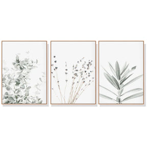 Lyon lavender wood framed botanical canvas wall art triptych