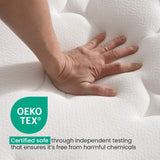 Kingston Slumber RelaxMax 31cm Euro Top 5-Zone Pocket Spring Mattress — OEKO-TEX Knitted — Allure Home Collections