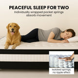 Kingston Slumber RelaxMax 31cm Euro Top 5-Zone Pocket Spring Mattress — OEKO-TEX Knitted — Allure Home Collections