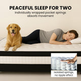 Kingston Slumber RelaxMax 31cm Euro Top 5-Zone Pocket Spring Mattress — OEKO-TEX Knitted — Allure Home Collections