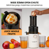 Auger, blade filter and juicing bowl parts of the white cold press juicer