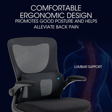 FORTIA Comfort Ergonomic Mesh Office Chair with Adjustable Recline — Allure Home Collections