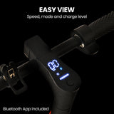Haarlem Electric Scooter, 350W, 35km Range, Grey