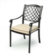 Wandandian black cast aluminium outdoor dining chair with cream cushion in a garden