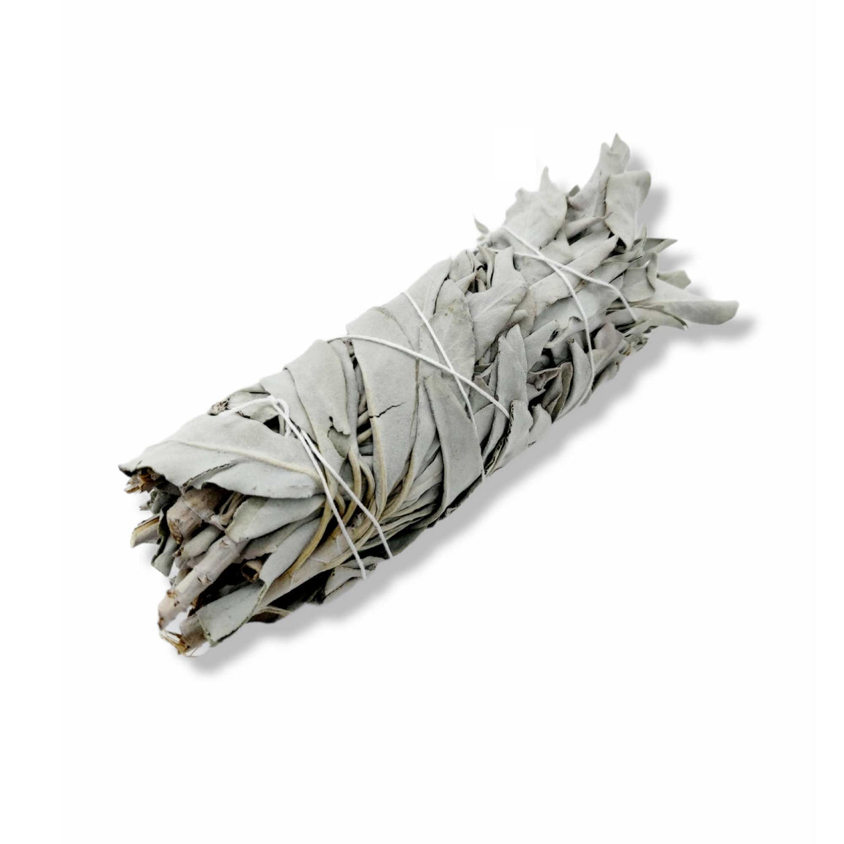 White Sage Smudge Sticks Set Of 6 close up