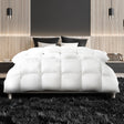 Laura Hill 500gsm Duck Down Feather Quilt Comforter — Queen, Cotton Cover — Allure Home Collections