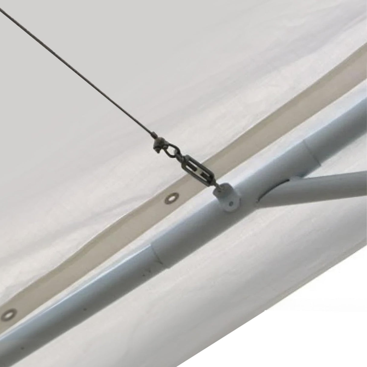 Diagram showing the 6 x 6 m dimensions of the replacement marquee roof