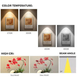 BAMDECOR Modern 3-Ring Dimmable LED Chandelier in Gold — Allure Home Collections