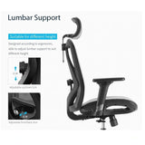Sihoo M57 Ergonomic High Back Office Chair