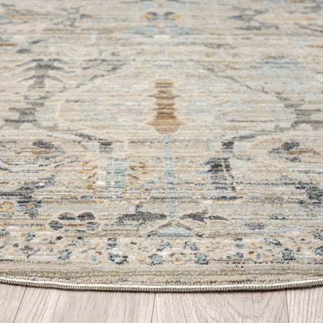 Aubre Contemporary Vintage-Charm Area Rug — Turkish Power-Loomed, Stain-Resistant — Allure Home Collections