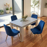 Mount Torrens 5 Piece Dining Set, Grey and Blue Velvet