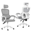 La Bella VELTRA Ergonomic Reclining Office Chair Grey — Allure Home Collections