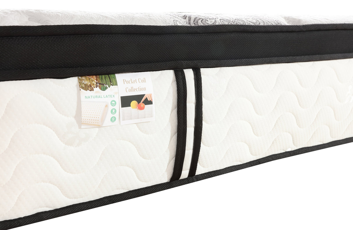 Chiro 7-Zone Latex Euro Top 35cm Pocket Spring Mattress — Allure Home Collections